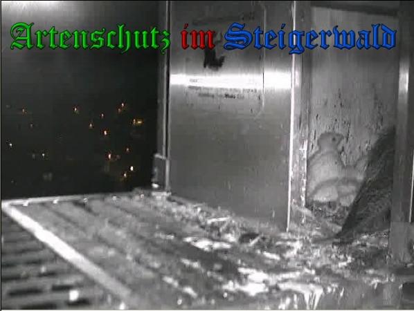 Copyright AiS / 2010 - Wörner Bild zum Eintrag (30354-160)