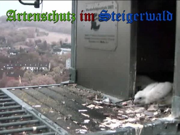 Copyright AiS / 2010 - Wörner Bild zum Eintrag (30358-160)