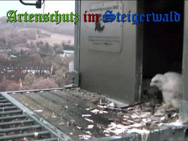 Copyright AiS / 2010 - Wörner Bild zum Eintrag (30359-160)