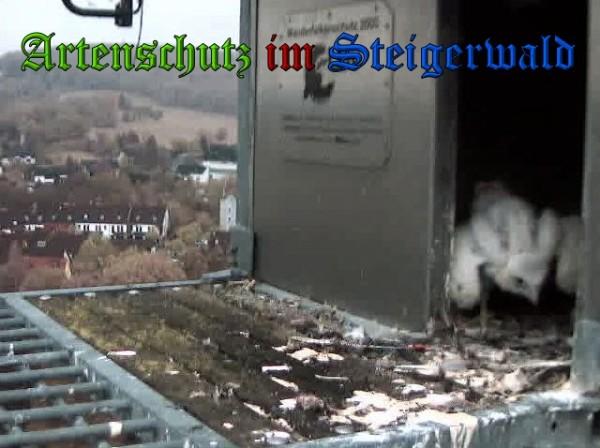 Copyright AiS / 2010 - Wörner Bild zum Eintrag (30361-160)