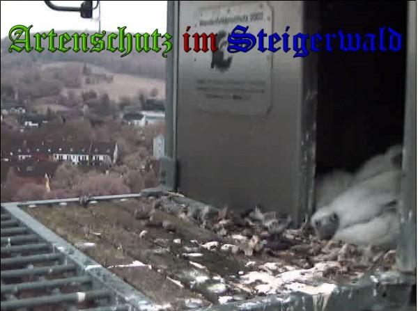 Copyright AiS / 2010 - Wörner Bild zum Eintrag (30362-160)