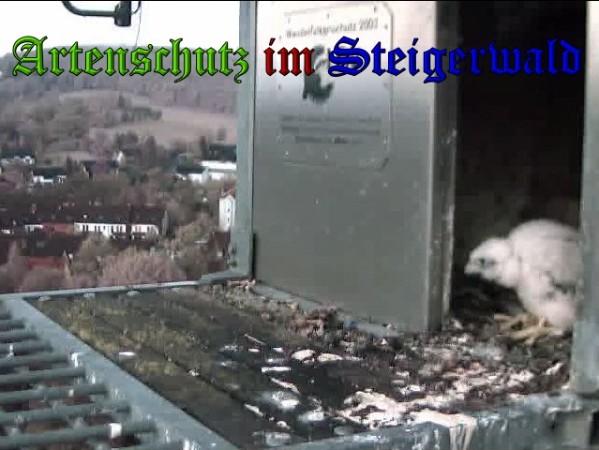Copyright AiS / 2010 - Wörner Bild zum Eintrag (30363-160)