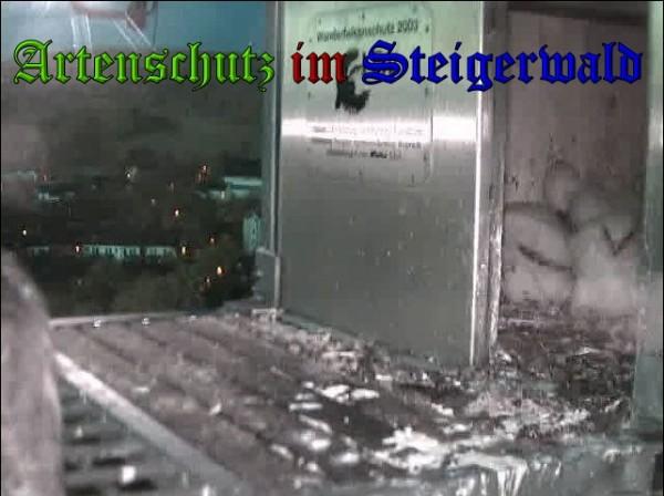 Copyright AiS / 2010 - Wörner Bild zum Eintrag (30364-160)