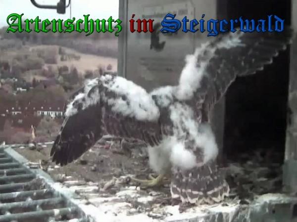 Copyright AiS / 2010 - Wörner Bild zum Eintrag (30370-160)