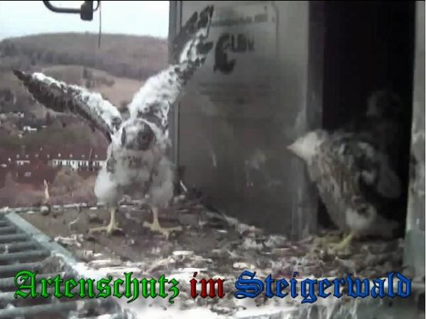Copyright AiS / 2010 - Wörner Bild zum Eintrag (30371-160)