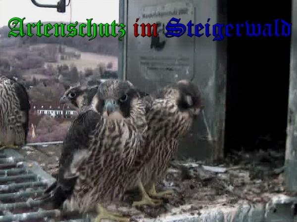 Copyright AiS / 2010 - Wörner Bild zum Eintrag (30380-160)