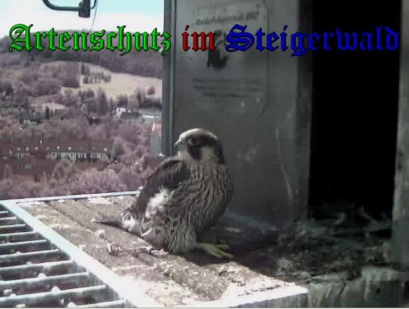 Copyright AiS / 2010 - Wörner Bild zum Eintrag (30381-160)