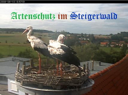 Copyright AiS / Schmähling Bild zum Eintrag (30750-160)