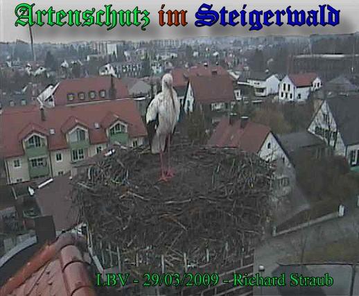 Copyright AiS / 2009 LBV EBE Richard Straub Bild zum Eintrag (30845-160)