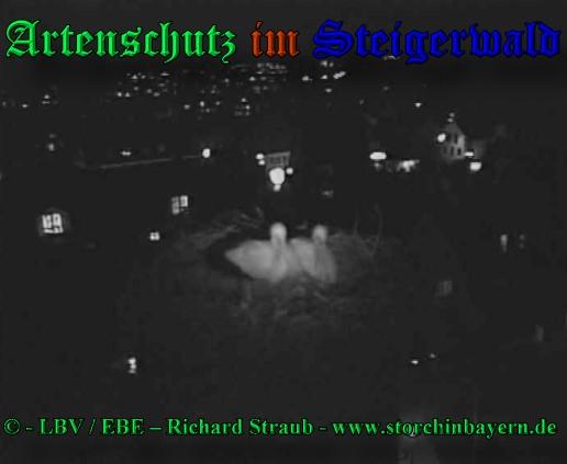 Copyright AiS / 2009 copyright LBV / EBE Richard Straub www.storchinbayern.de Bild zum Eintrag (30852-160)