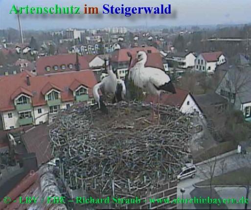 Copyright AiS / 2009 copyright LBV / EBE Richard Straub www.storchinbayern.de Bild zum Eintrag (30853-160)