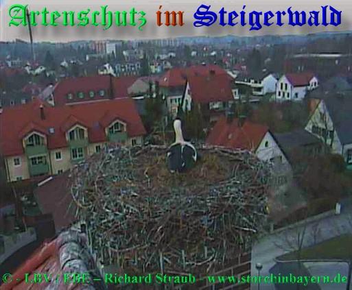 Copyright AiS / 2009 copyright LBV / EBE Richard Straub www.storchinbayern.de Bild zum Eintrag (30854-160)