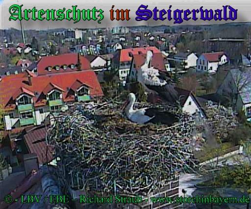 Copyright AiS / 2009 copyright LBV / EBE Richard Straub www.storchinbayern.de Bild zum Eintrag (30855-160)