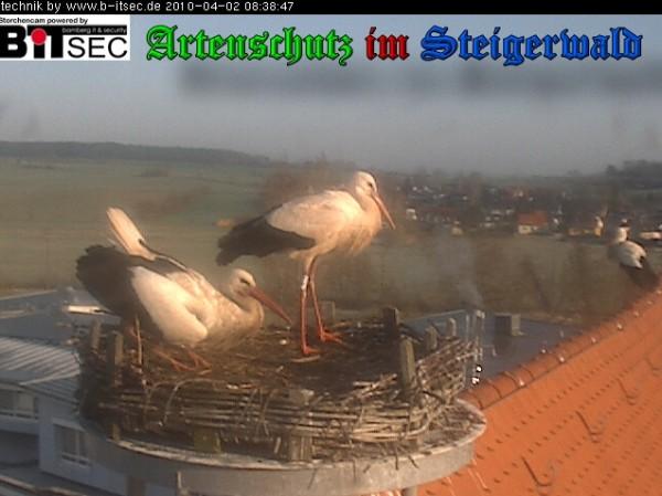 Copyright AiS / 2010 Webcam Weidner Bild zum Eintrag (30872-160)