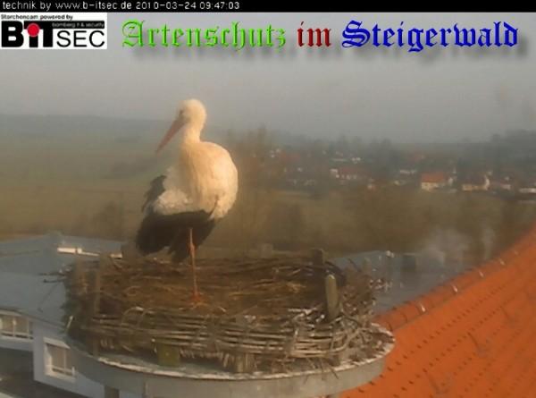 Copyright AiS / 2010 Weidner Bild zum Eintrag (30875-160)