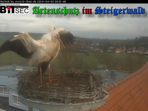 Copyright AiS / 2010 Weidner Bild zum Eintrag (30878-160)