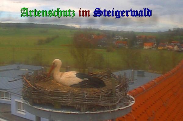 Copyright AiS / 2010 Weidner Bild zum Eintrag (30879-160)