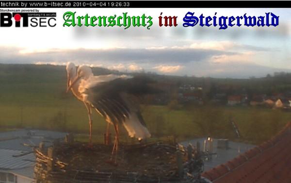 Copyright AiS / 2010 Weidner Bild zum Eintrag (30881-160)