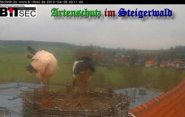 Copyright AiS / 2010 Weidner Bild zum Eintrag (30882-160)