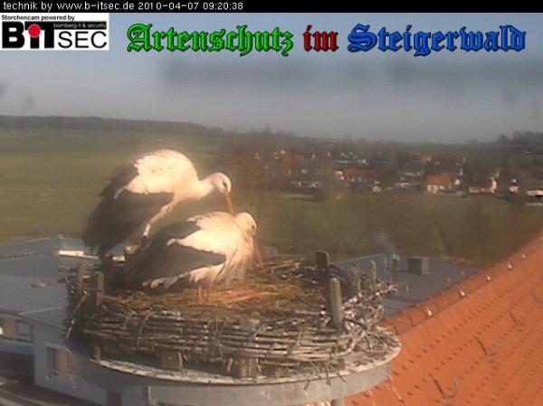 Copyright AiS / 2010 Weidner Bild zum Eintrag (30885-160)