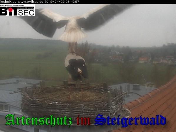 Copyright AiS / 2010 Weidner Bild zum Eintrag (30886-160)