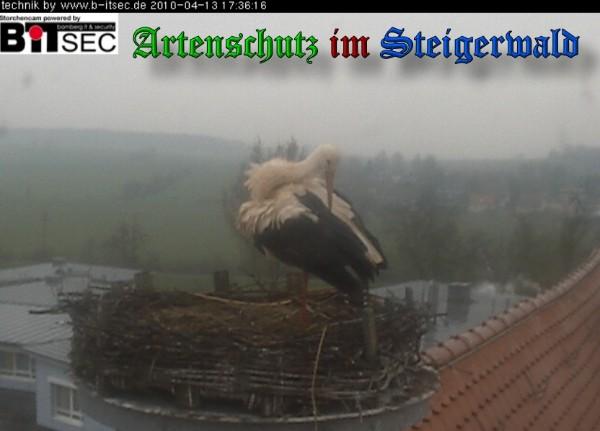 Copyright AiS / 2010 Weidner Bild zum Eintrag (30894-160)
