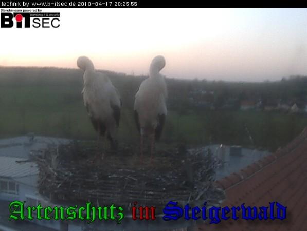 Copyright AiS / 2010 Weidner Bild zum Eintrag (30898-160)