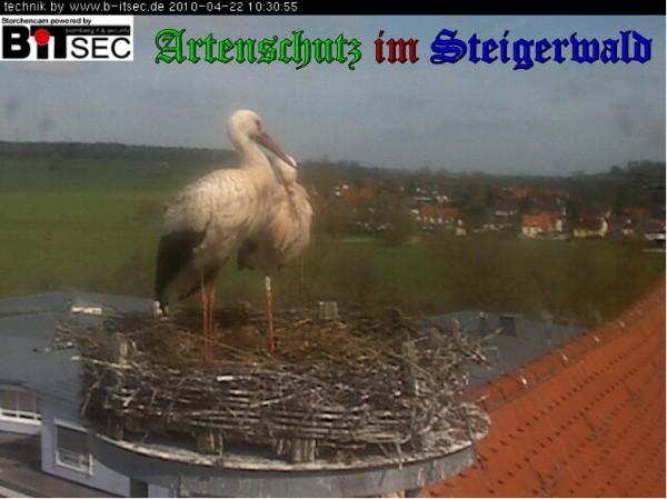 Copyright AiS / 2010 Weidner Bild zum Eintrag (30899-160)
