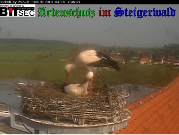 Copyright AiS / 2010 Weidner Bild zum Eintrag (30900-160)