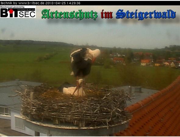 Copyright AiS / 2010 Bild zum Eintrag (30906-160)