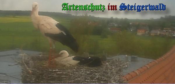 Copyright AiS / 2010 Bild zum Eintrag (30921-160)