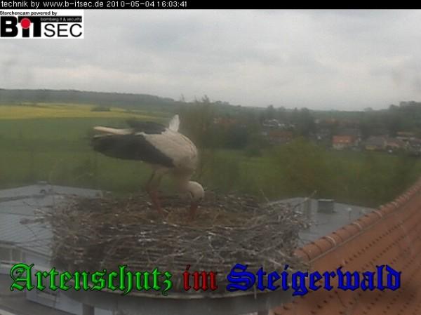Copyright AiS / 2010 Bild zum Eintrag (30926-160)