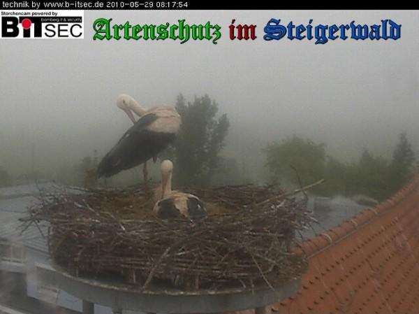 Copyright AiS / 2010 Bild zum Eintrag (30930-160)