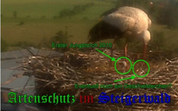 Copyright AiS / 2010 Bild zum Eintrag (30931-160)
