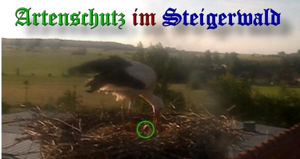 Copyright AiS / 2010 Bild zum Eintrag (30932-160)