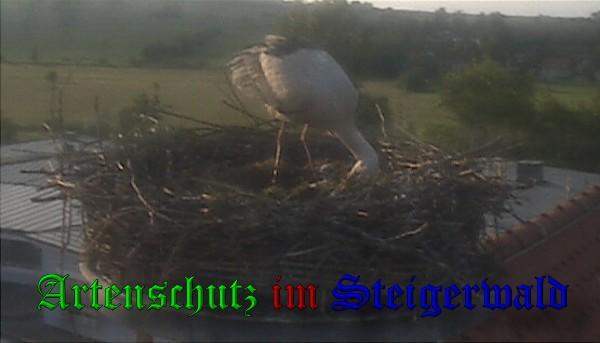 Copyright AiS / 2010 Bild zum Eintrag (30934-160)
