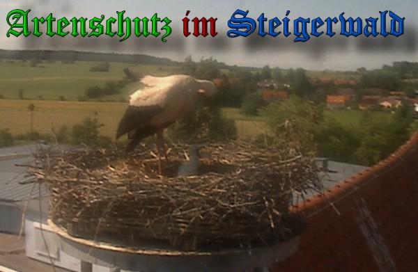 Copyright AiS / 2010 Bild zum Eintrag (30936-160)
