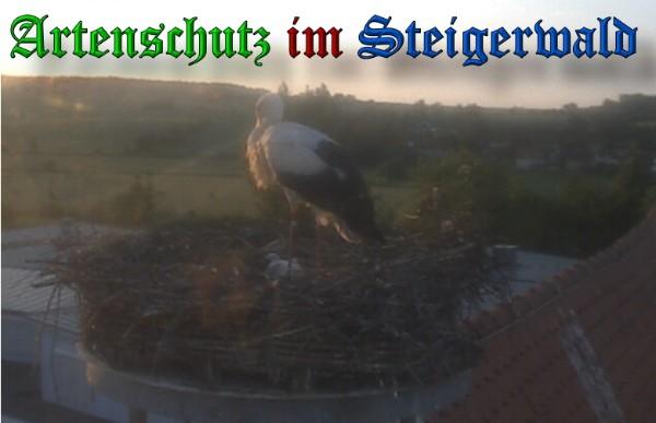 Copyright AiS / 2010 Bild zum Eintrag (30937-160)