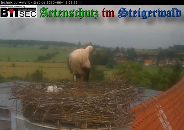 Copyright AiS / 2010 Bild zum Eintrag (30938-160)