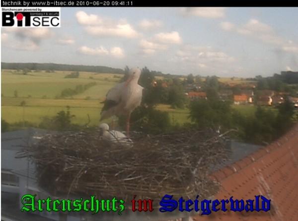 Copyright AiS / 2010 Bild zum Eintrag (30939-160)