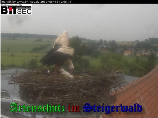 Copyright AiS / 2010 Bild zum Eintrag (30940-160)