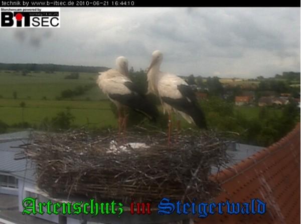 Copyright AiS / 2010 Bild zum Eintrag (30941-160)