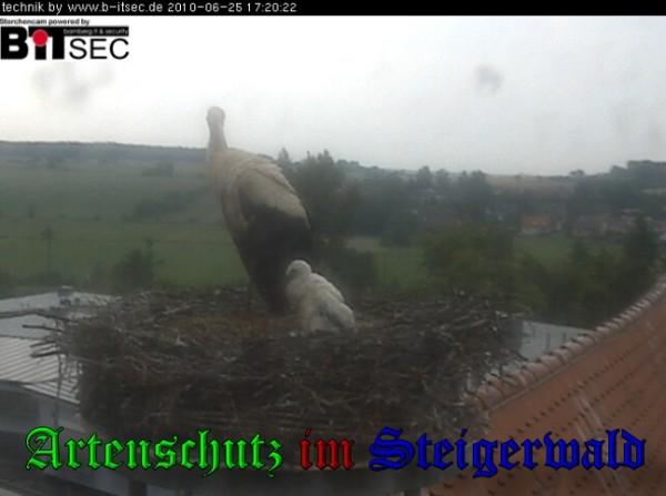 Copyright AiS / 2010 Bild zum Eintrag (30949-160)