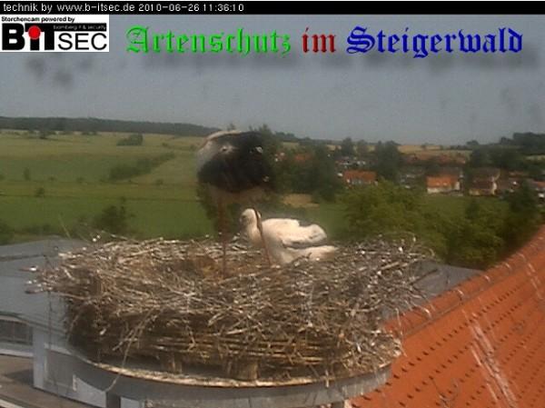 Copyright AiS / 2010 Bild zum Eintrag (30951-160)