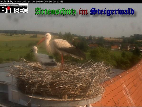 Copyright AiS / 2010 Bild zum Eintrag (30955-160)