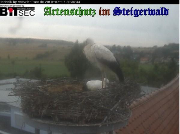 Copyright AiS / 2010 Bild zum Eintrag (30963-160)
