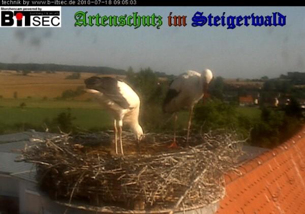 Copyright AiS / 2010 Bild zum Eintrag (30964-160)
