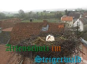 Copyright AiS / Weidner Zehnder Bild zum Eintrag (30989-160)