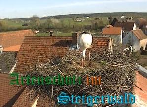 Copyright AiS / Weidner Zehnder Bild zum Eintrag (30991-160)