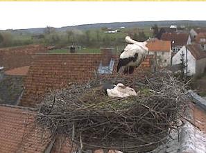Copyright AiS / Weidner / Zehendner Bild zum Eintrag (30992-160)